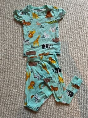 4T Short Sleeved Neutral Old Navy Mint Green Animal Alphabet Pajama Set